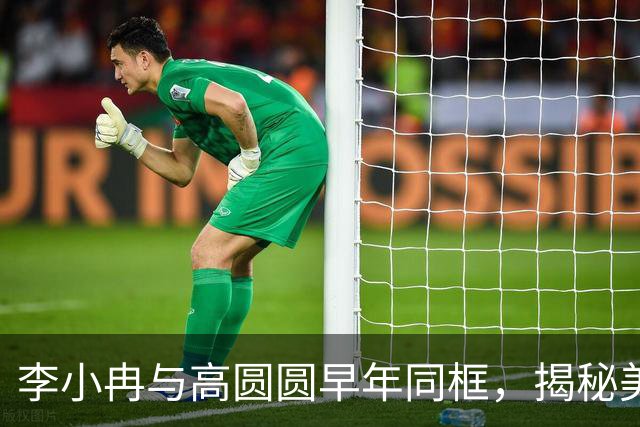 李小冉与高圆圆早年同框，揭秘美的不同维度